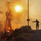 Οι νέες συνθήκες στην Ανατολική Μεσόγειο ενισχύουν τις δασικές πυρκαγιές